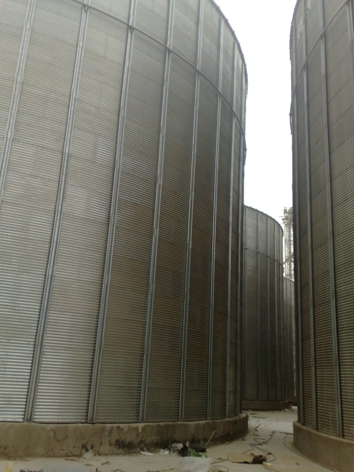 10042010050