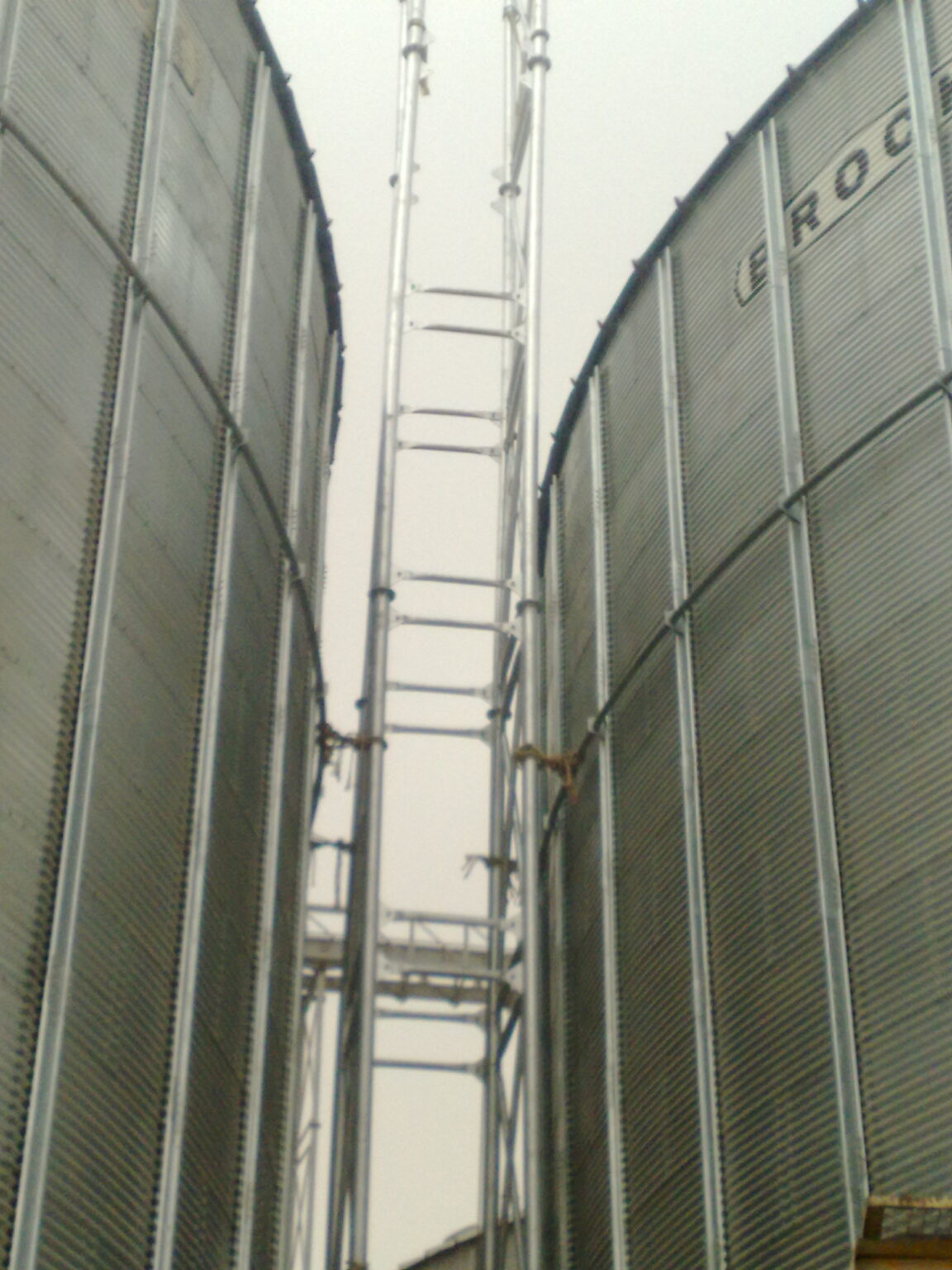 10042010055