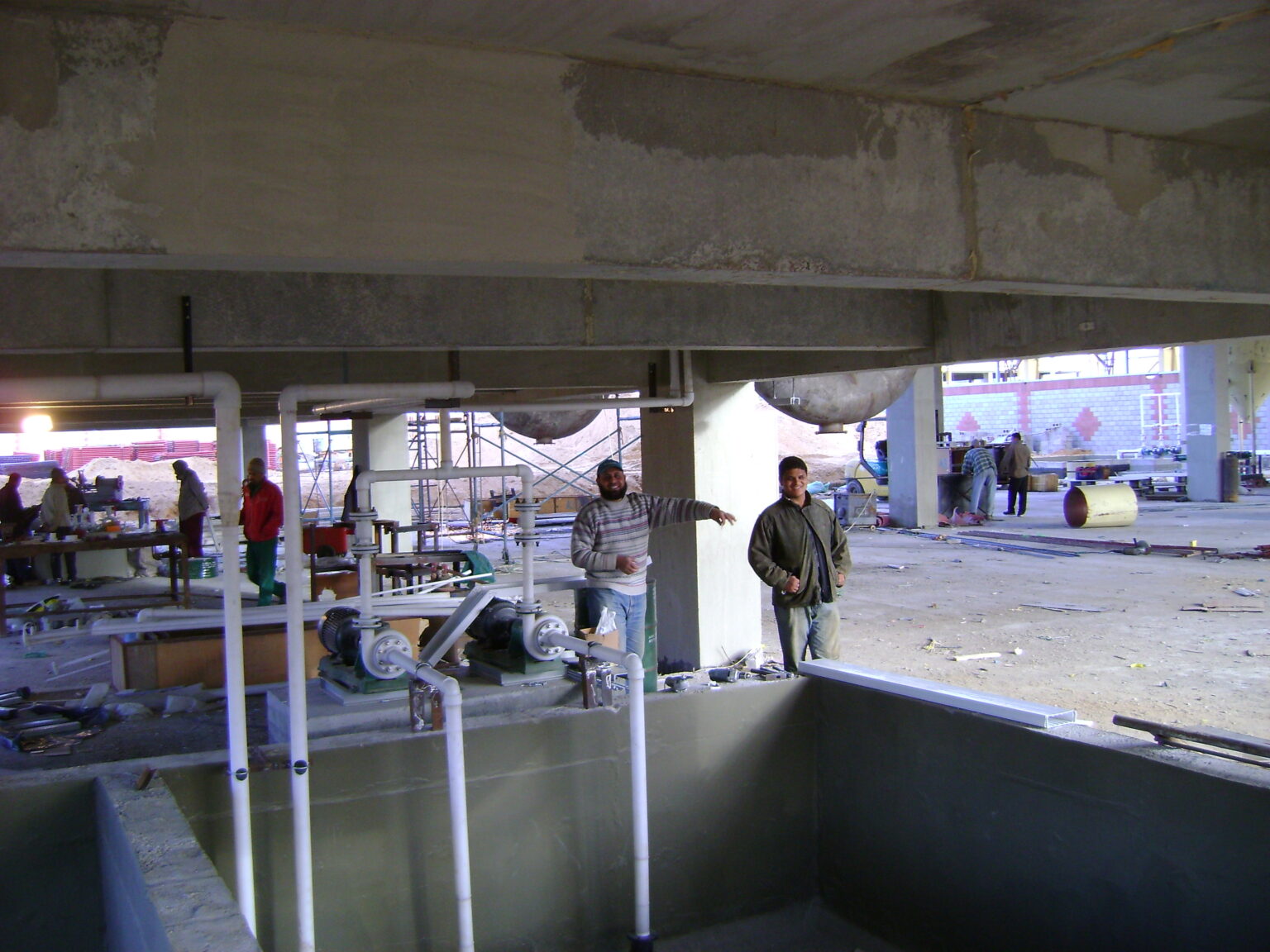 DSC07184