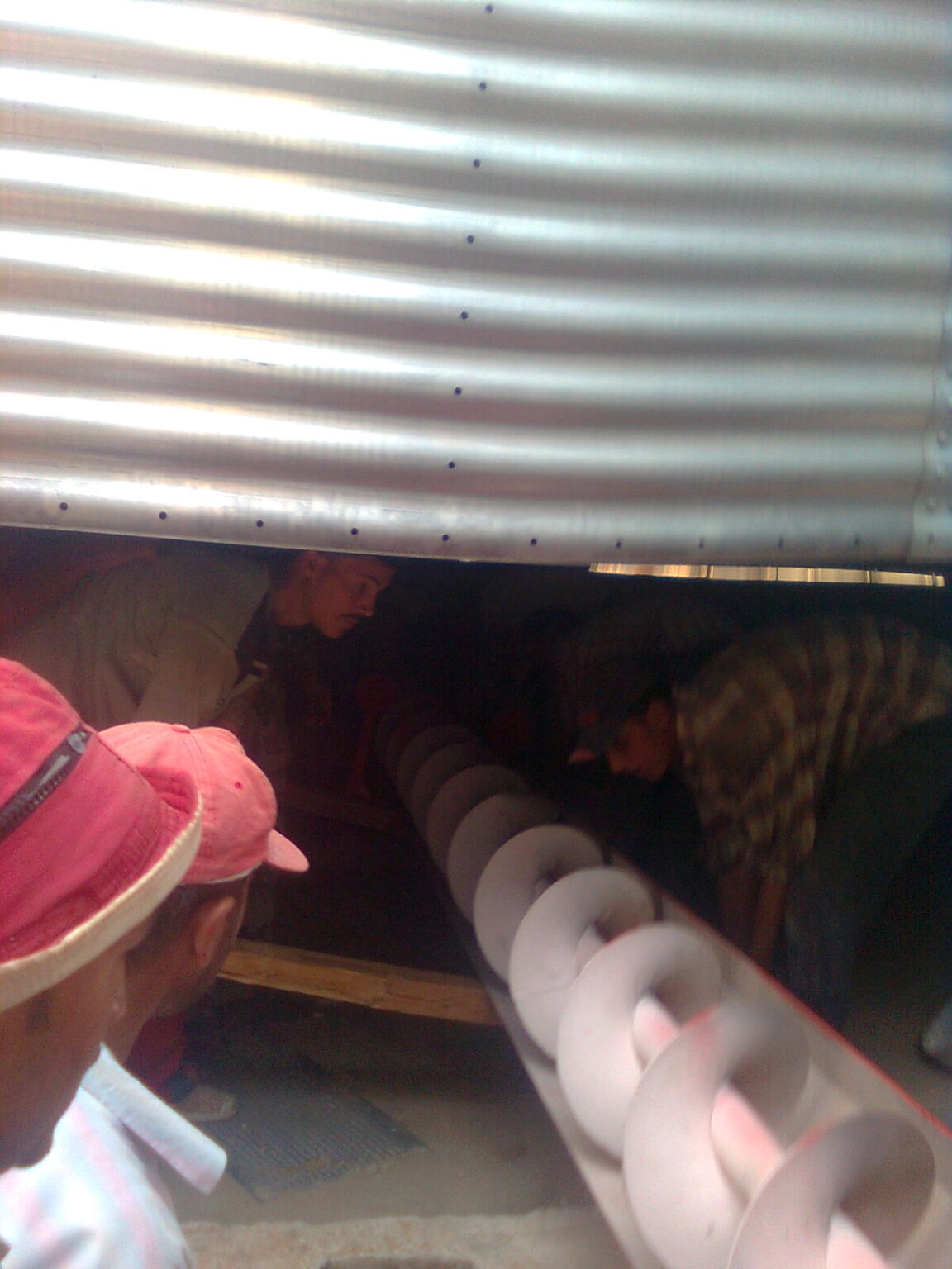 صورة٠٢٥١